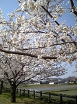 070405_160006.jpg